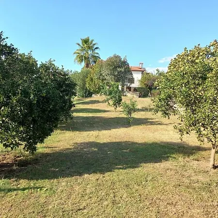 4 Yatak Odali Harika Muestakil Villa *